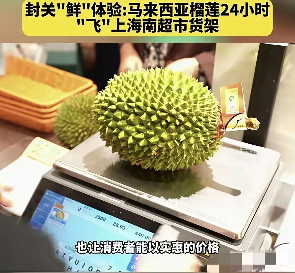 海南封关最实在的福利来了！88一斤的猫山王被抢疯，这哪是吃榴莲，是尝到了自贸港的