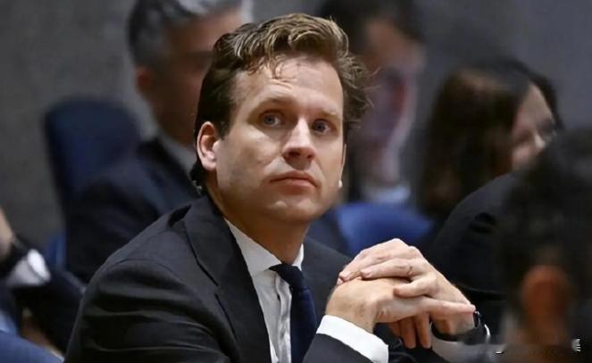 11月19日，荷兰公开对中方服软，声明中有一句话特别有意思！当天荷兰经济事务