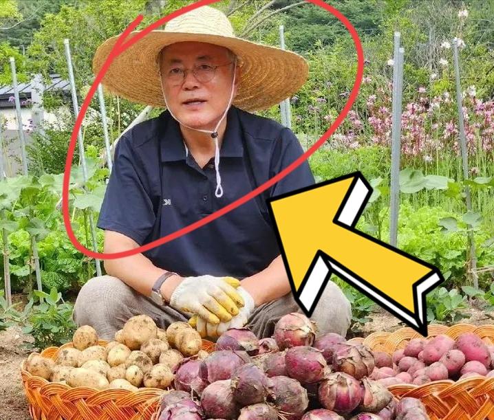 这位韩国的前总统，政府每月发放1600万韩元，网友算了一下，折合人民币76000