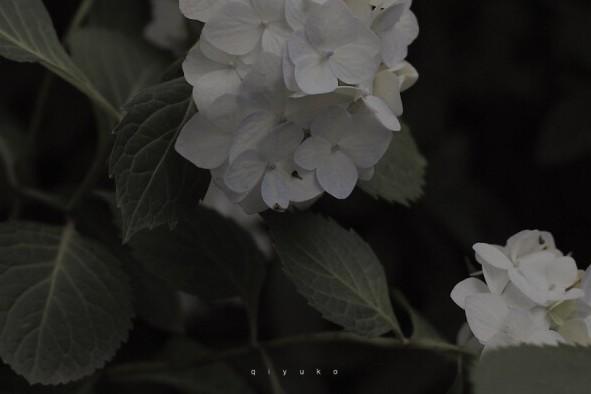 走着走着，就散了。回忆都淡了。看着看着，就累了。星光也暗了。回头发现，你不见