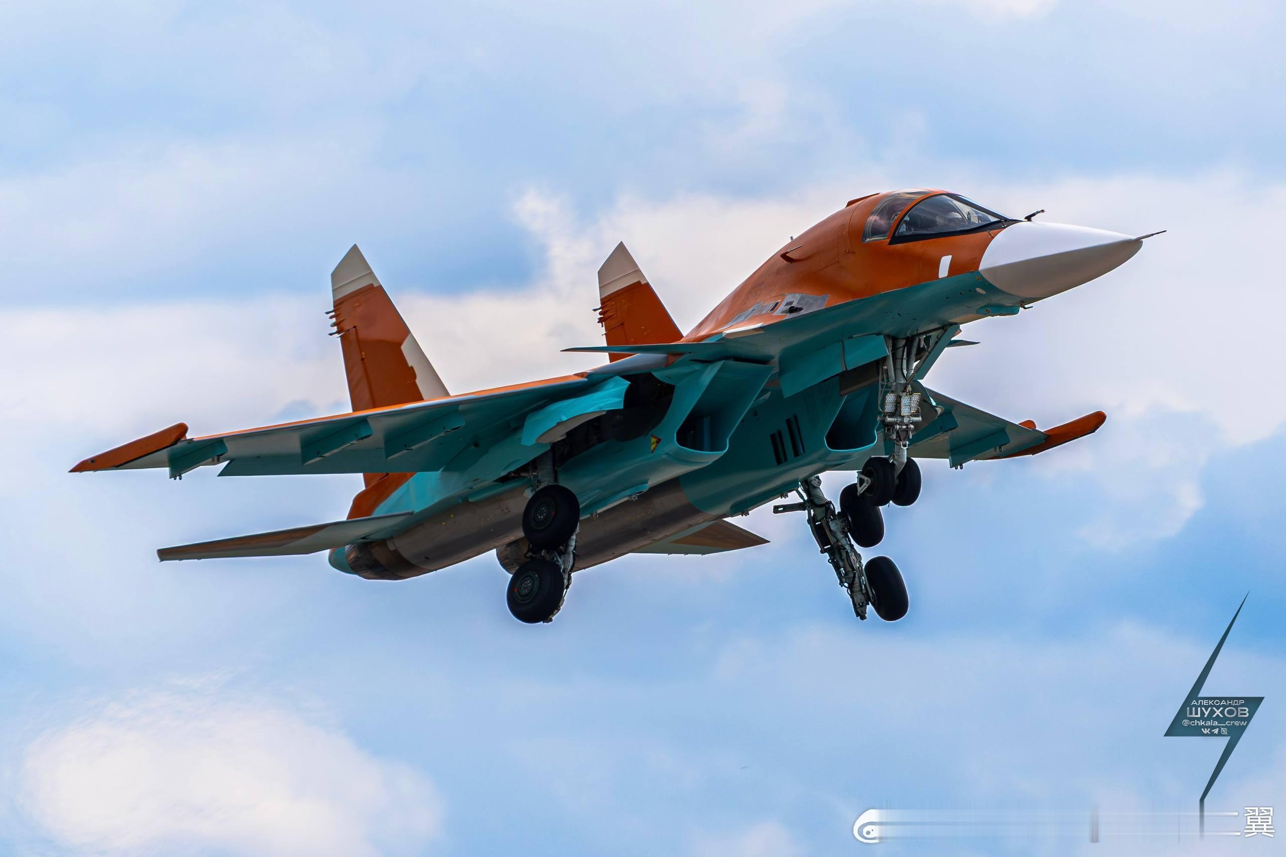 阿尔及利亚鸭嘴兽新图