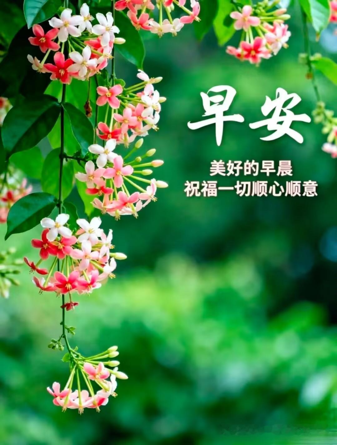 七月的蝉鸣还未散去，八月的清风已携信而来。那些你在盛夏埋下的种子——深夜的