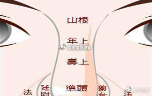 鼻子：一个人一生的财富及运势手相占卜面相1、鼻头生痣，一生损耗，会被人骗财，骗投资，越积蓄越损耗。2