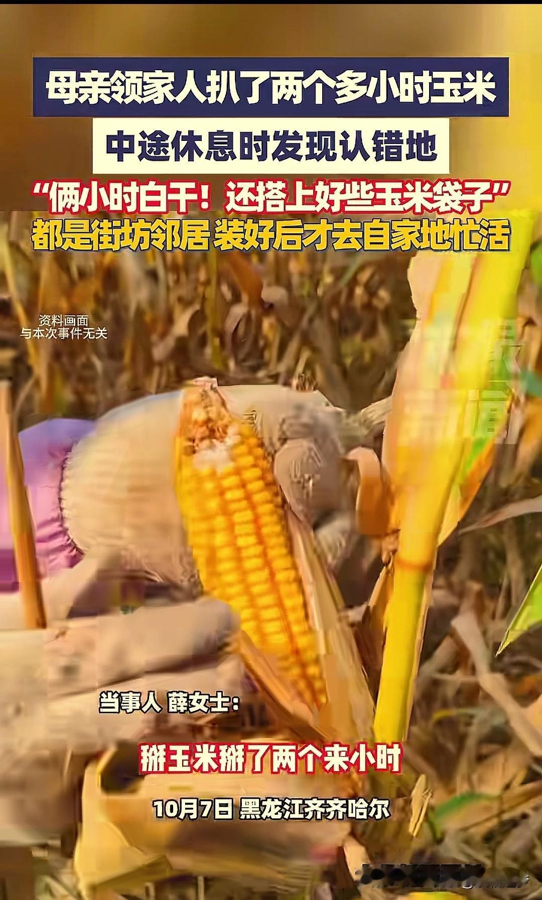 “白忙活了！”黑龙江，母亲带着家人下地扒玉米，铆足劲扒了两个多小时，眼看扒下来的
