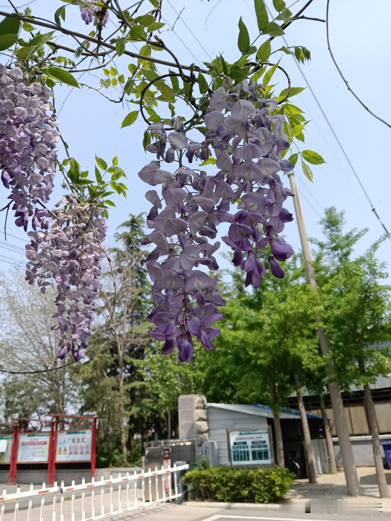 社会潜规则：1、别人说“留下吃饭吧”，只要他带个“吧”字，就要拒绝并且找理由