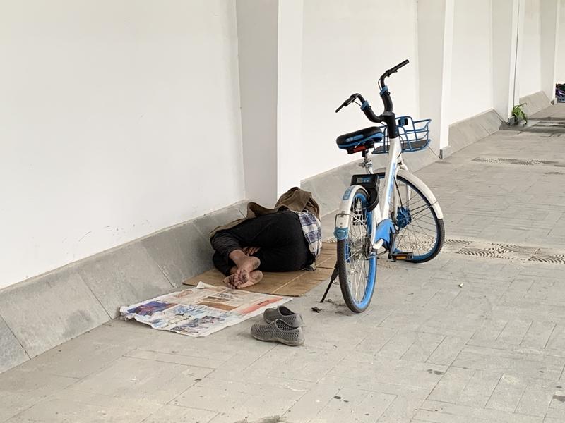 颠覆认知！年薪45万美元程序员，半年沦为桥洞流浪汉，真相扎心了家人们敢信吗