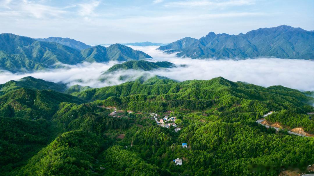 初夏走进老界岭景区，满眼都是青碧山色，翻涌云海漫过天际，深邃幽静的峡谷溪潭藏着夏
