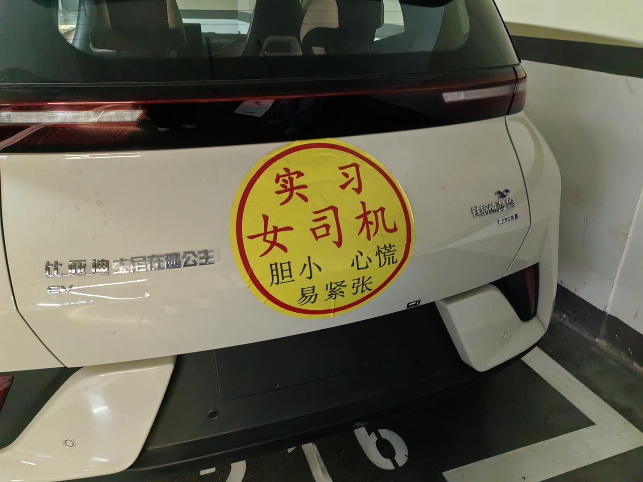 刚提的比亚迪海鸥，本来想做个低调的代步选手，结果提车第一天，我就给它安排了个“保