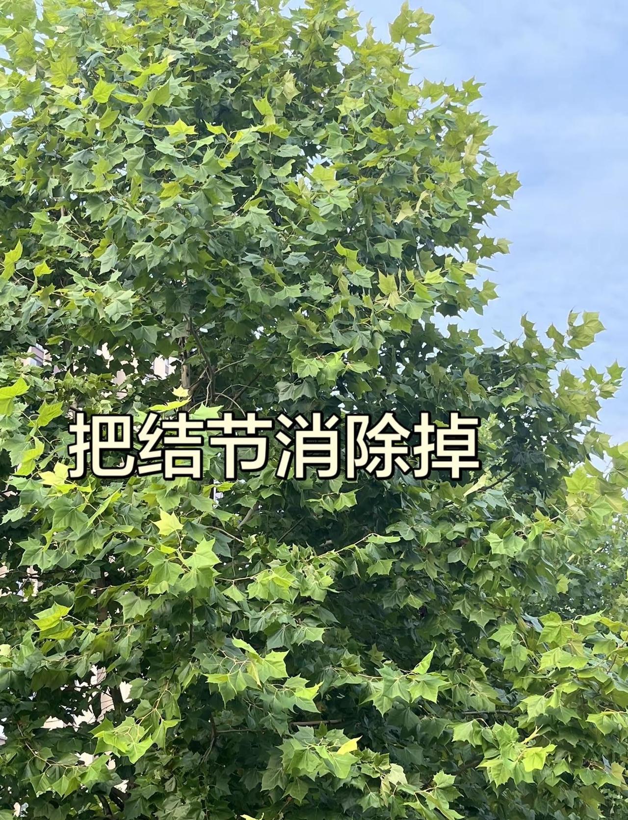 NBA常规赛达拉斯飞翼主场以96-91逆转战胜芝加哥天空，李月汝中国球员李月