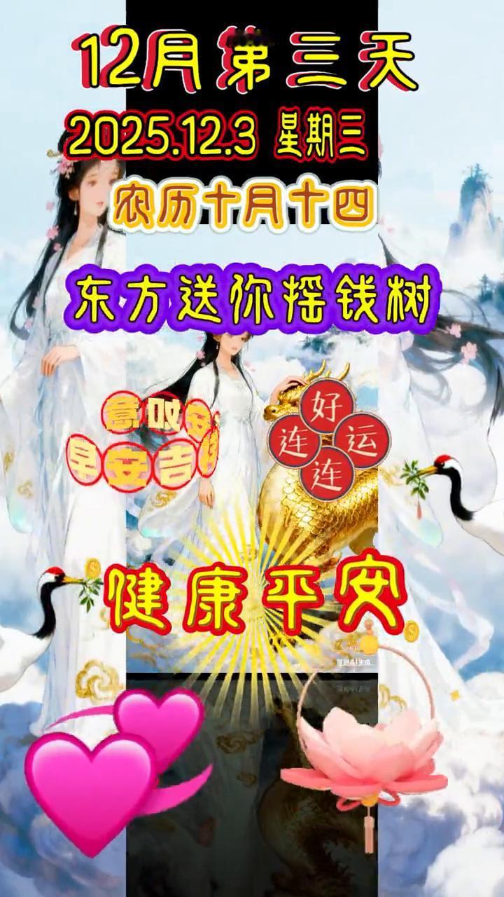 12月第三天，2025.12.3星期三，农历十月十四，早安。今天是12月3日，