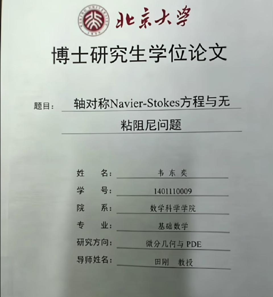 韦东奕的博士论文当年就被评上北大2018年优秀博士学位论文，题目是《轴对称Na