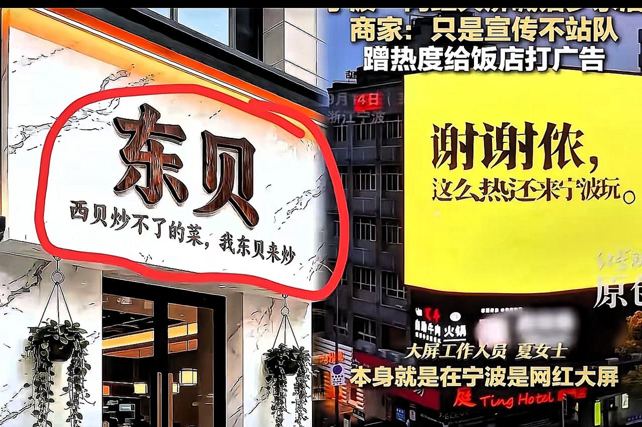 一夜醒来，西贝的贾国龙估计得坐不住了！谁能想到，西贝火了这么多年，冒出个东贝来模