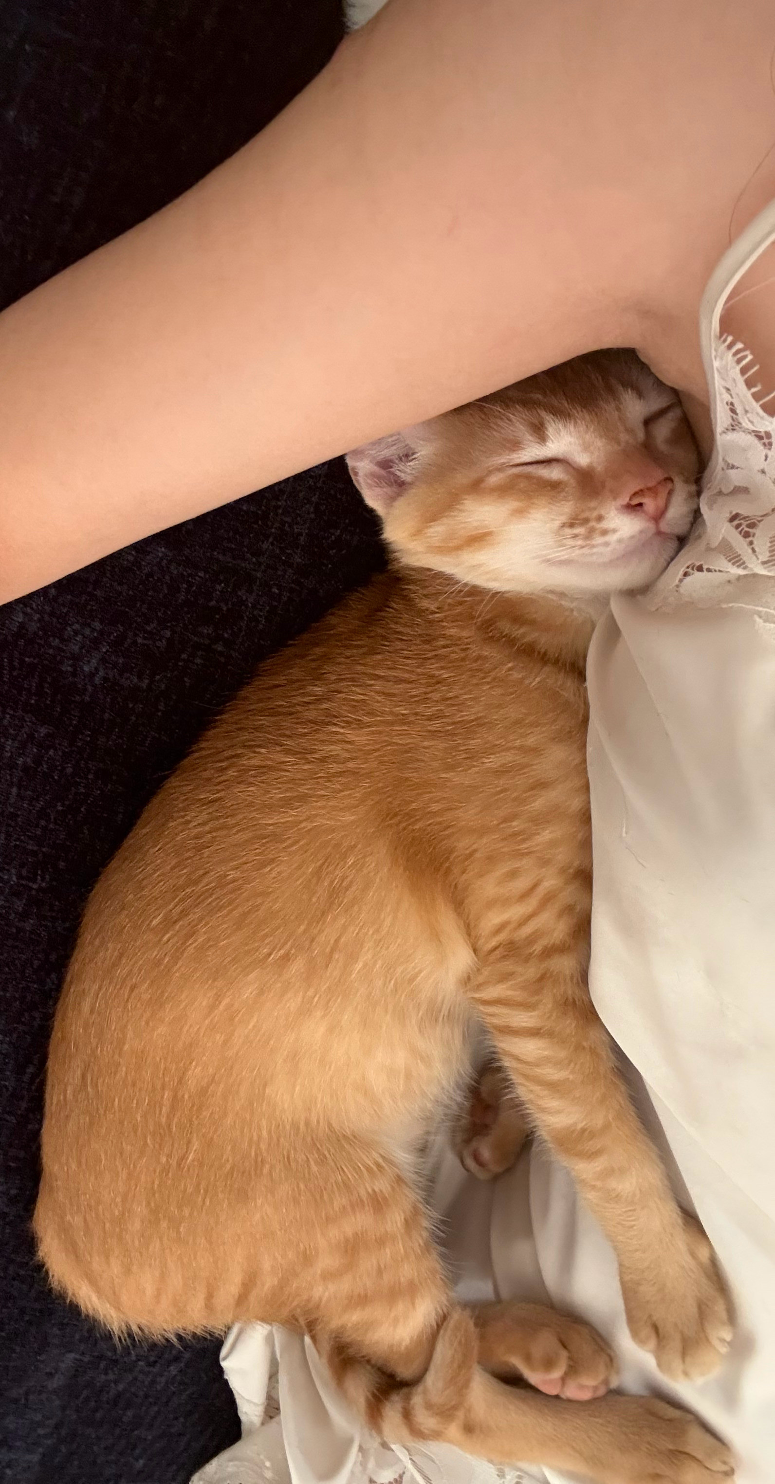 戒酒的第一天​​​