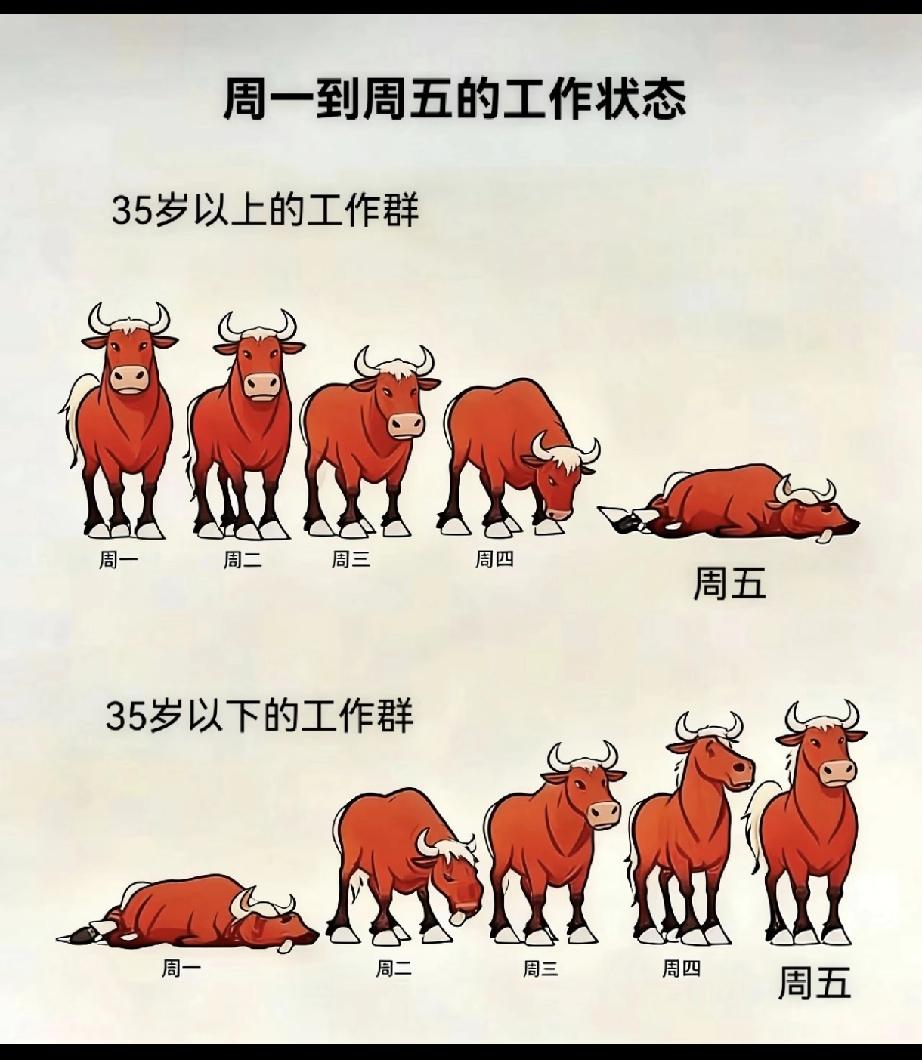 张雪峰老师告诉我们，上班必须要趟平，不能累了自己