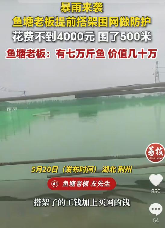 5月20日荔枝新闻报道，湖北荆州眼看暴雨就要来临，鱼塘老板早早搭建防护围网，花费