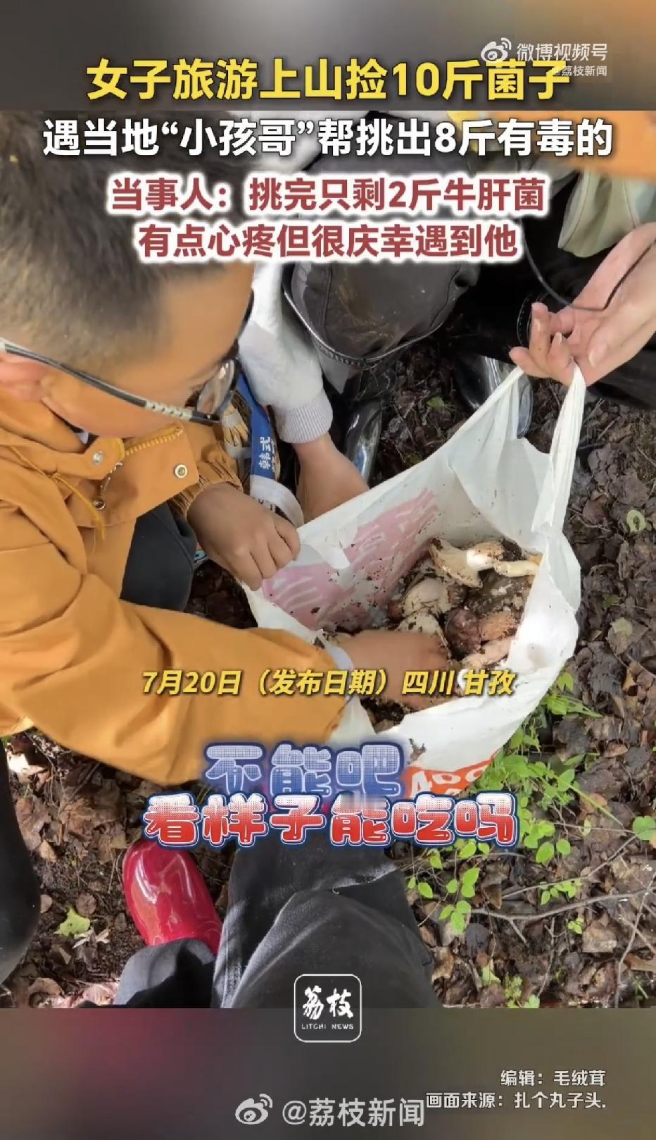 四川甘孜康定市甲根坝镇，一对情侣凌晨六点上山，兴高采烈的捡了满满两大袋，足足十斤