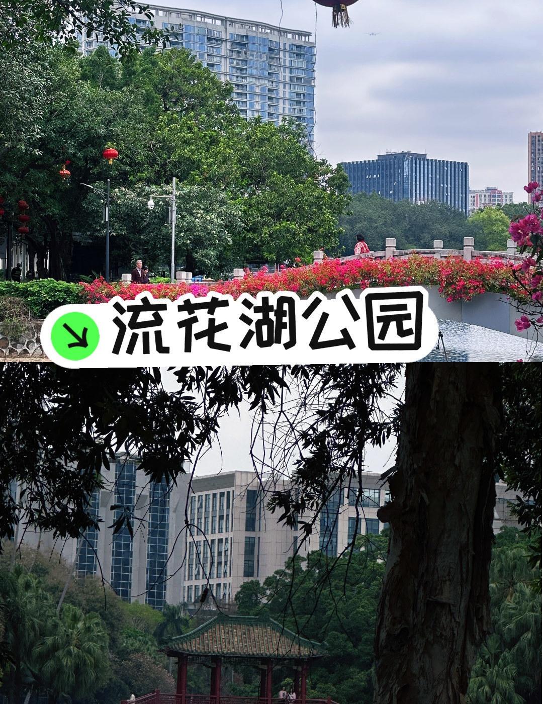 春天一定要去的公园📍广州流花湖公园直接彩虹桥B出来不到2分钟就到了，也可