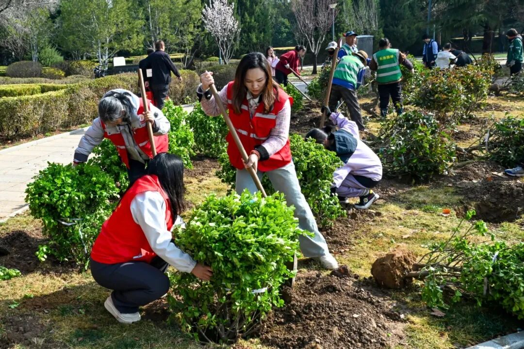 团市委开展2026年青年林种植活动