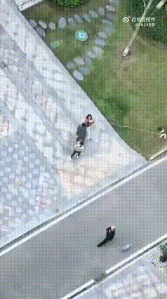 暴力解决不了任何事情!遛狗女孩被打,还有人说打人的唐先生有点冤枉一分多钟的视