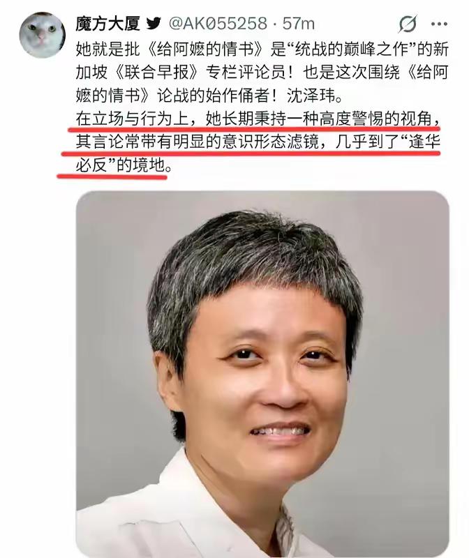 原来说电影“统战攻心”的是一个新加坡华人，她还驻在北京，这人面相就是混合的产物！