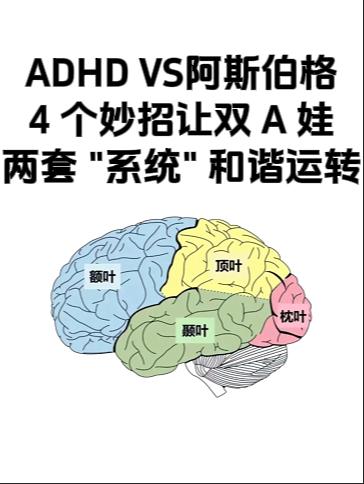 当ADHD遇上阿斯伯格，王炸：又跳脱又固执工作50多年，遇到过不少“双A”