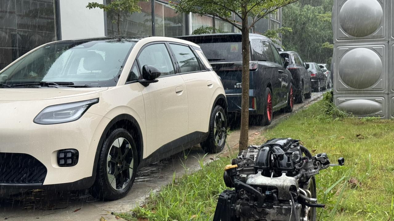 这次台风真的挺恐怖的深中通道凌晨就封闭了公司附近树都断了不少外面街道已经淹