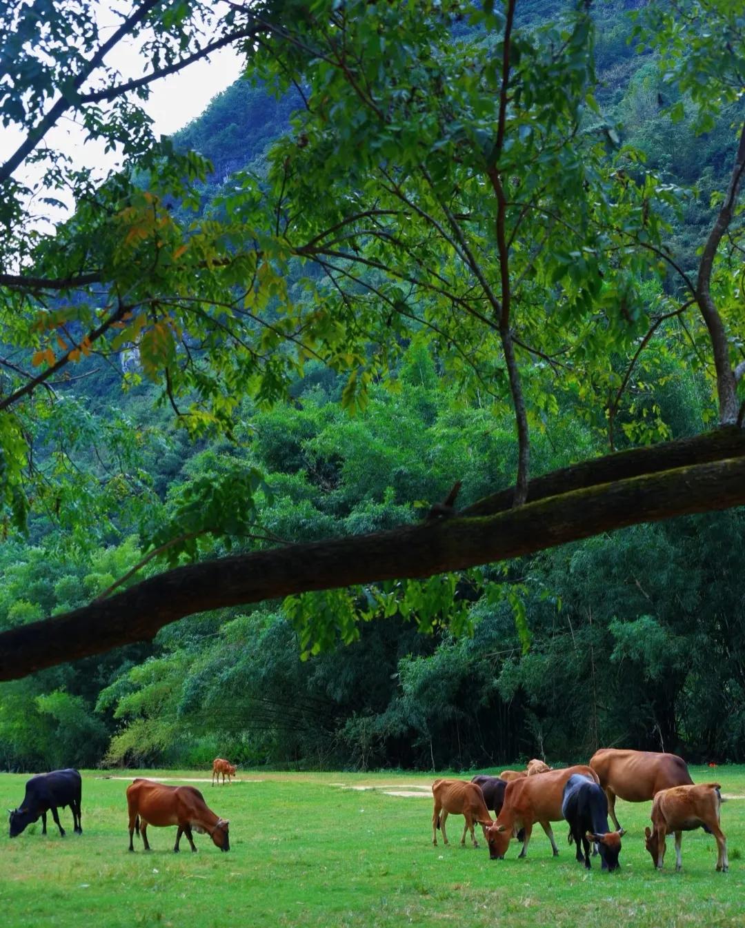 我一直都怀疑自己是个天性凉薄的人！直到抖音看到一个医生说不主动给家里打电话，也