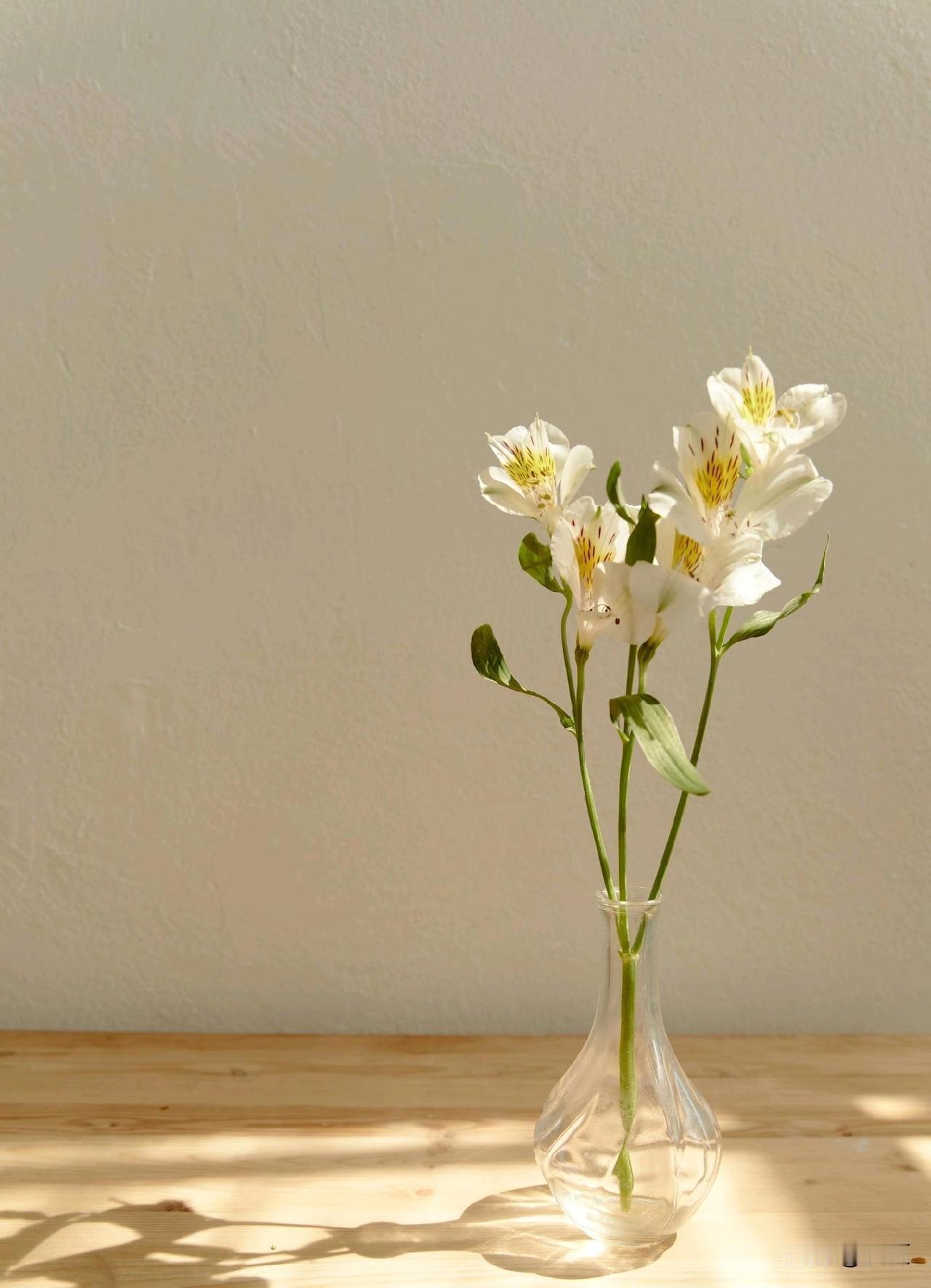 很认同的一段话：“人生最舒服的活法就是，熟人少来往，烂人别沾边，亲戚少见面，不听