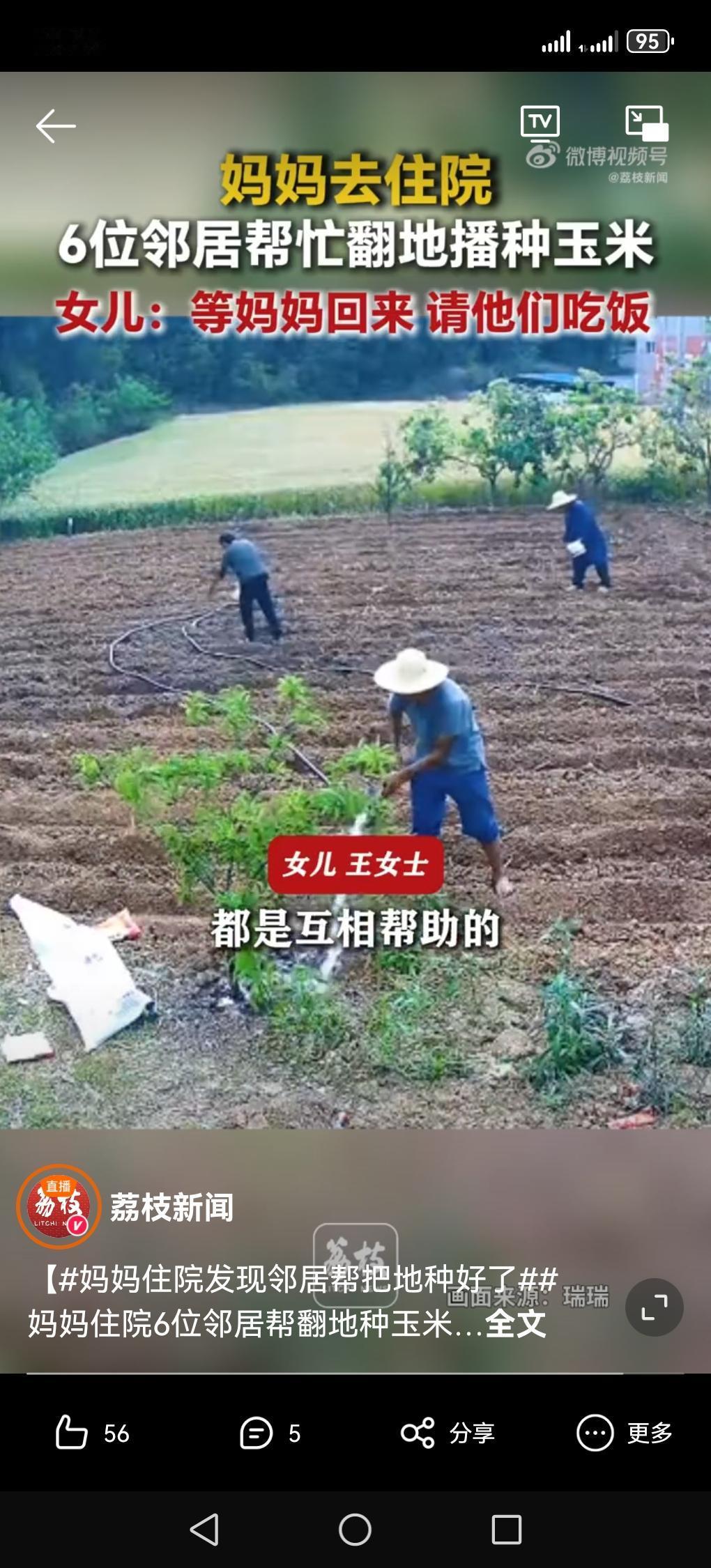 离谱又暖心！陪妈住院一趟，回家庄稼地竟全被收拾好了四川绵阳王女士怎么也想不