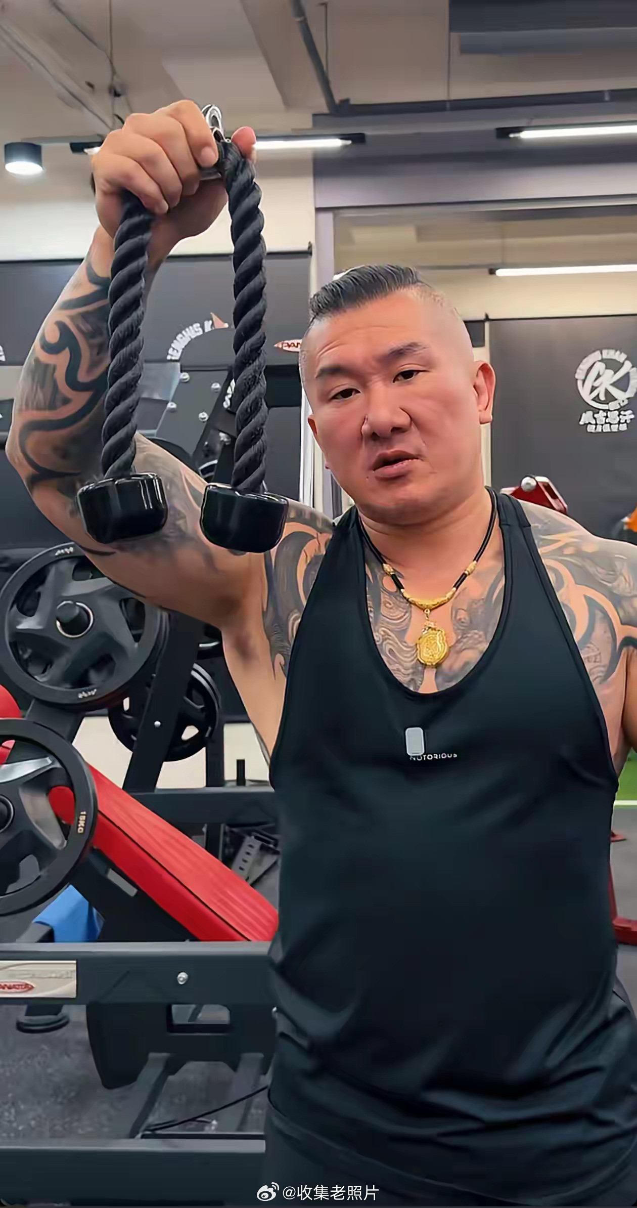 网红馆长问这条健身的绳叫什么绳？网友说：“收腹抬腕绳”，谐音“收复台湾省”。这个