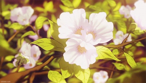 秒赞运势大增好运向你靠近🙏