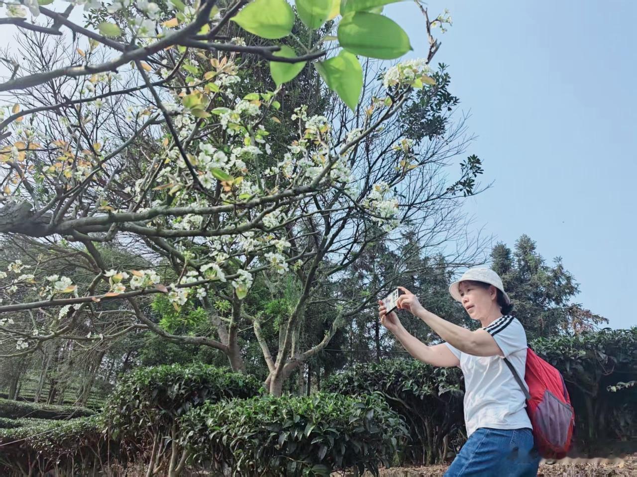 退休了，本想着开电车带老伴潇洒走一回，结果这个国庆，我俩在服务区过了大半天。
