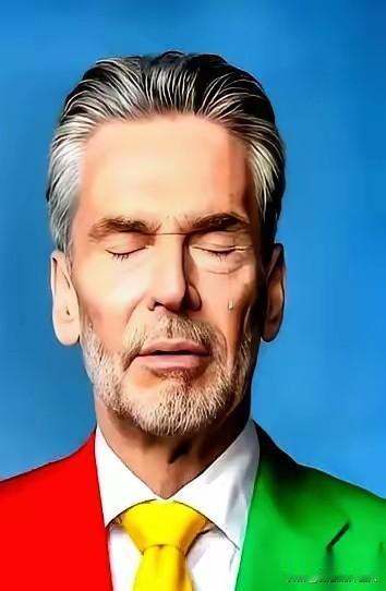 荷兰人估计彻底懵了。一封信，不长，意思就一个2026年起，安世东方大国的IG