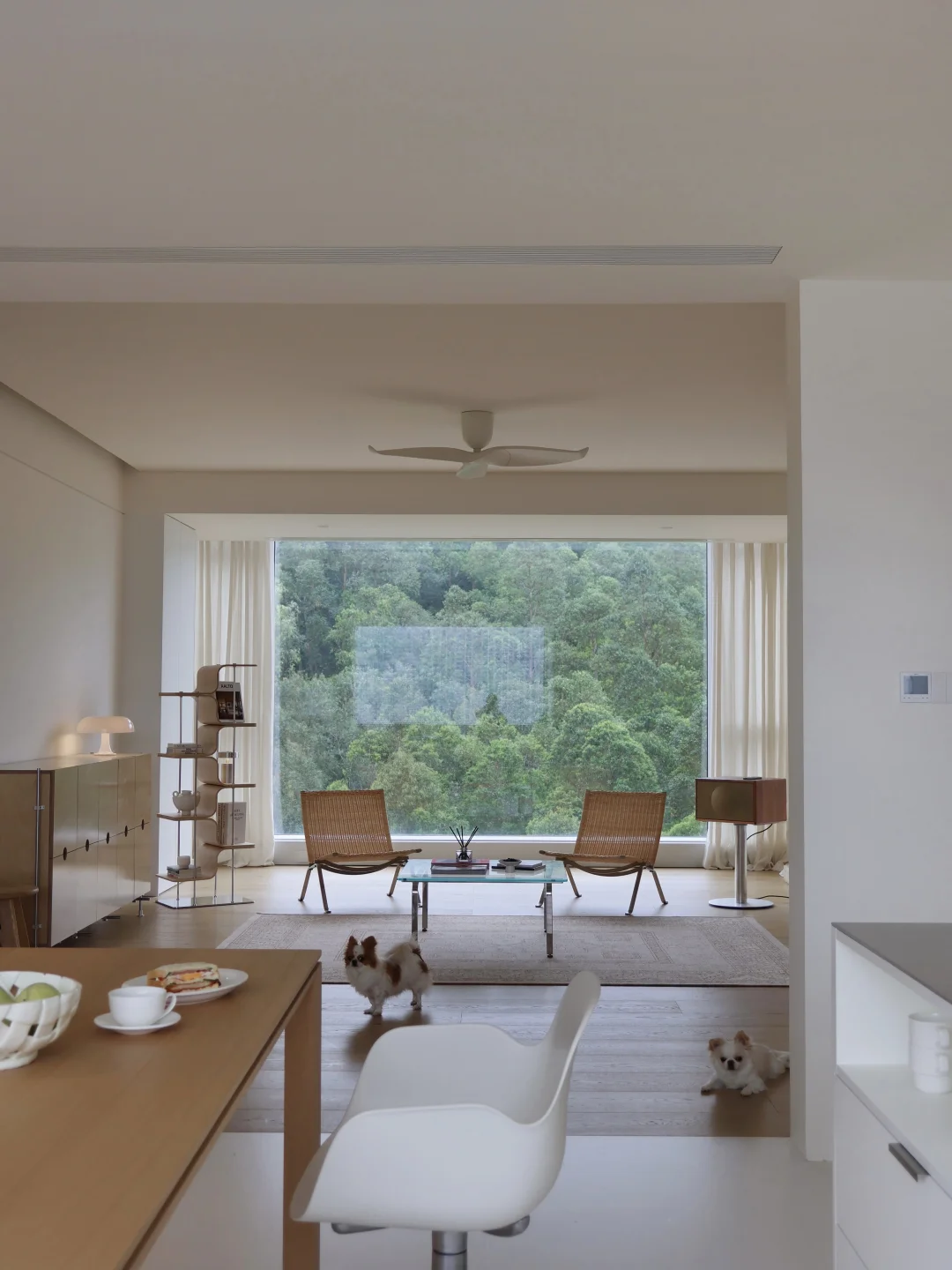 感谢邻居不买之恩，让我捡漏买到了树景房