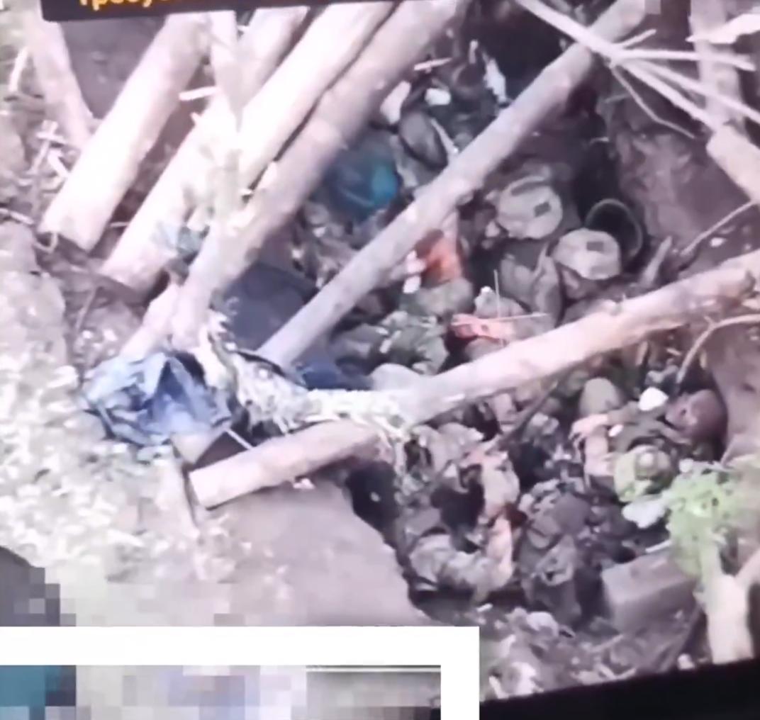 帖子分享了一段来自亲俄Telegram频道的12秒FPV无人机视频，