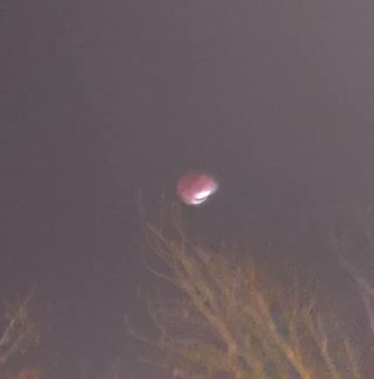 大家都不用着急，劳务派遣很快就会消失，因为劳务外包，比他更完美。这话听着像