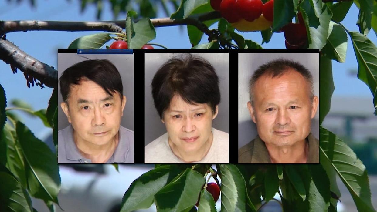 3名华人在美盗窃樱桃被捕保释金每人需要15万美元在美国加州圣华金县发生的一起樱桃