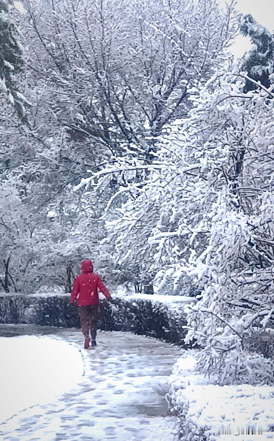 王曼玉失败了，让人们惊恐、愤怒、不解。其实这都很正常，早已经露出了迹象，所谓挠