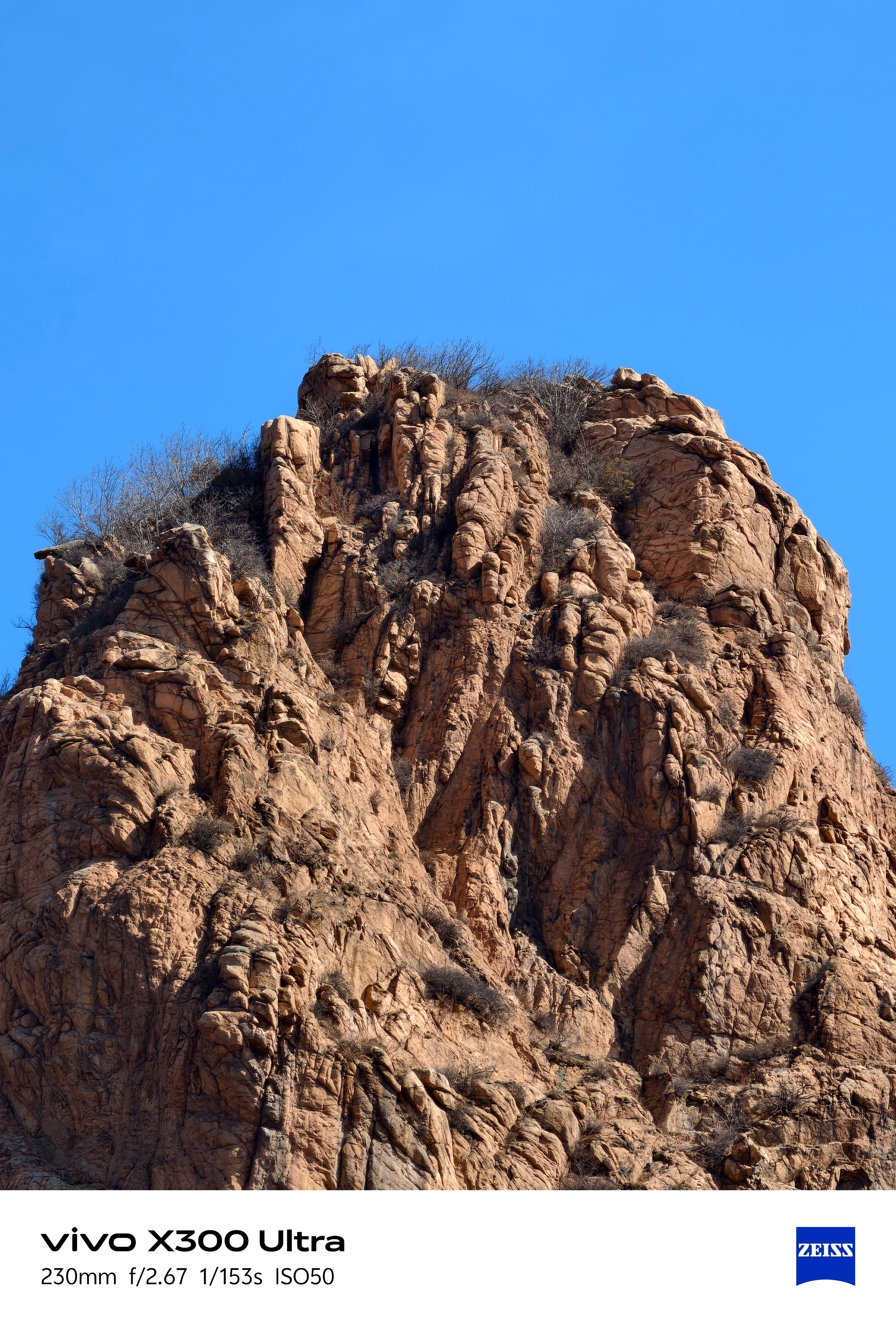 冷知识：vivoX300Ultra没有增距镜也能用。