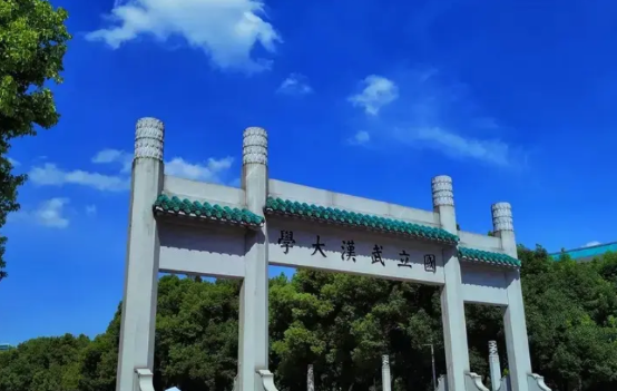 ——关于武汉大学事件，受损害最大的是武汉大学，作为全国政法专业顶尖的985大学，