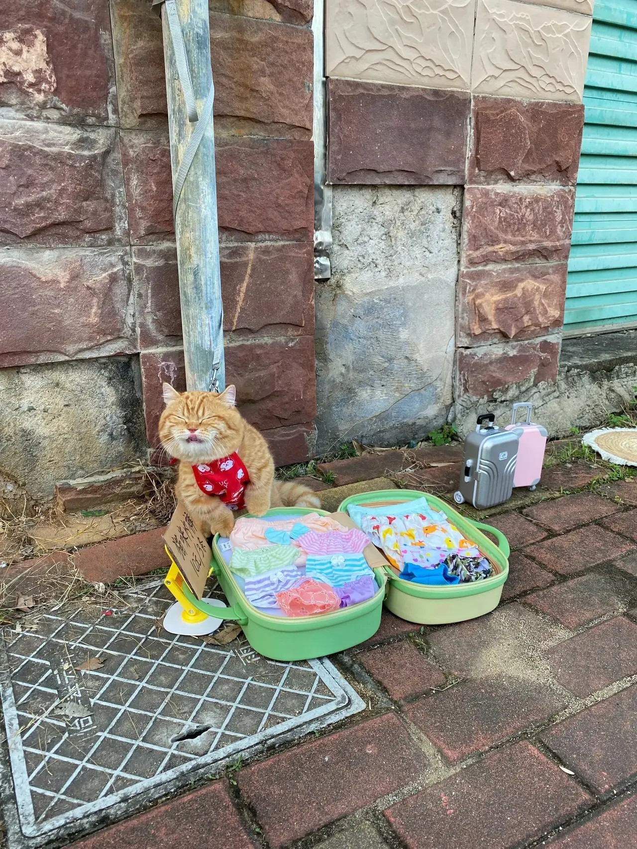 走过路过不要错过，各种颜色，各种款式包你喜欢。