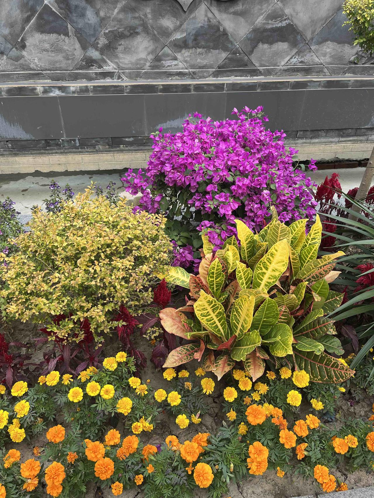 现在银行按揭贷款都上门服务了，这在以前都不敢想象！朋友近日买了一套房子，这几