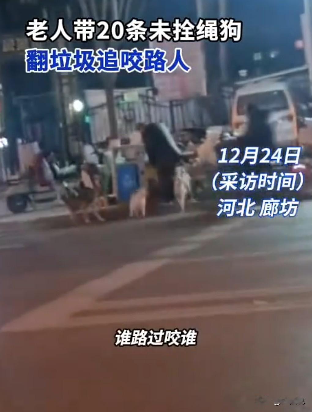 这真是有够离谱的，一下遛这么多条狗，还都是凶恶的狗。12月24日（发布），老