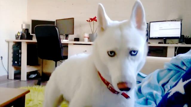 946576667894739746.jpeg?id=0