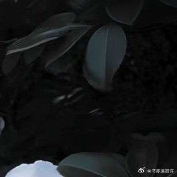 山茶花的种植方法：1.选苗与土壤：选择健康、无病虫害的山茶花苗木，土壤要求疏松