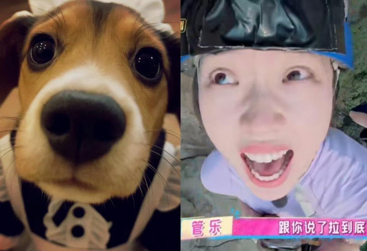 管乐狗塑笑不活！管乐狗塑子涵卡半空超淡定，她却急得直喊工作人员，面红耳赤的模