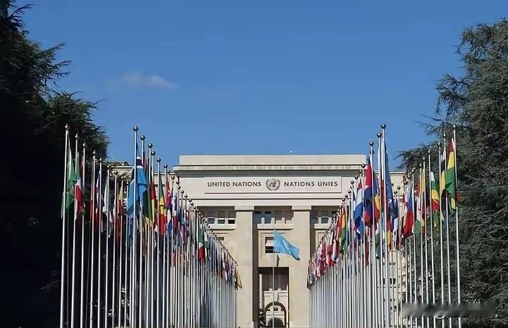 联合国发不出工资了！秘书长古特雷斯紧急发声：再收不到会费就裁员2000人！真实