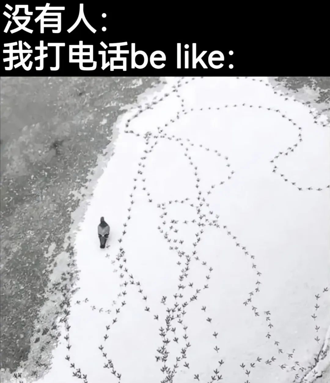 没有人给我打电话时