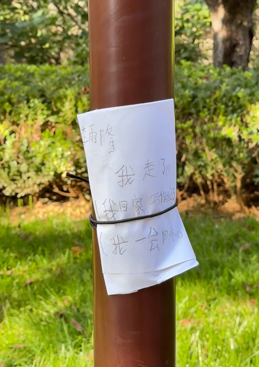 论人类幼崽的小纸条有多可爱​​​