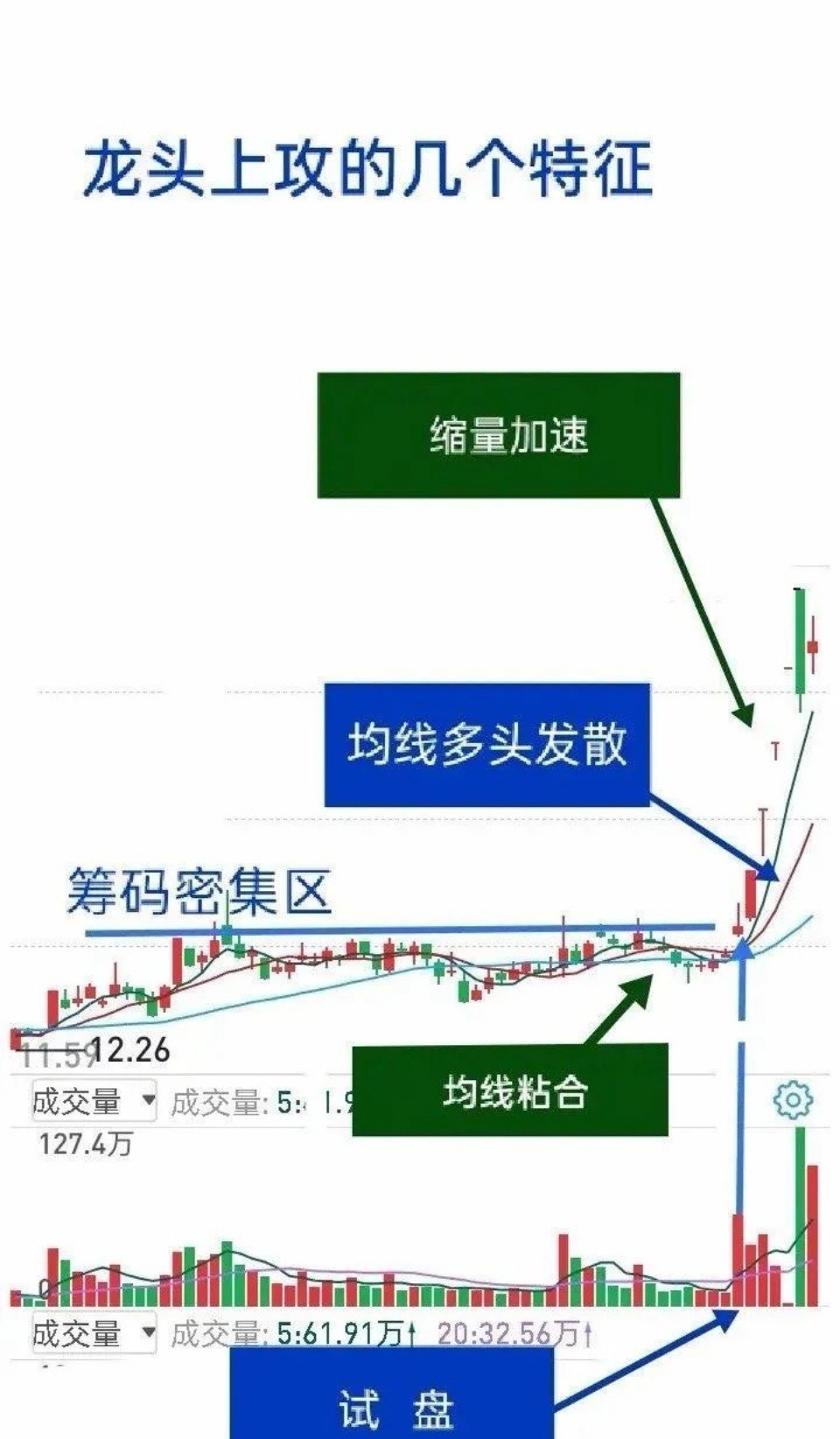 抓龙头主升浪，是每个股民的梦想，可现实却很残酷。有人就曾死磕形态不管板块逻辑，买